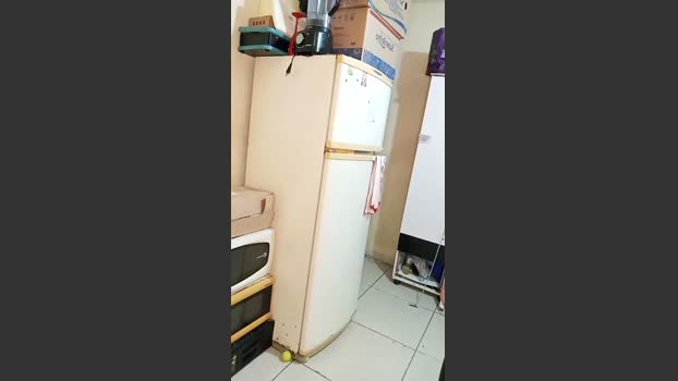 Alk45 11-03-2026 Recorded Video fuckass