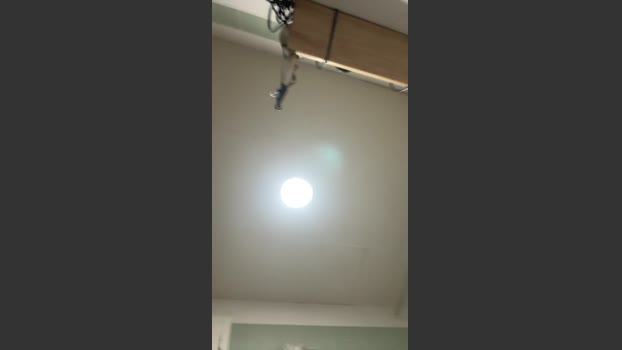 Pollon29_cm 10-03-2026 Recorded Video jerkoff