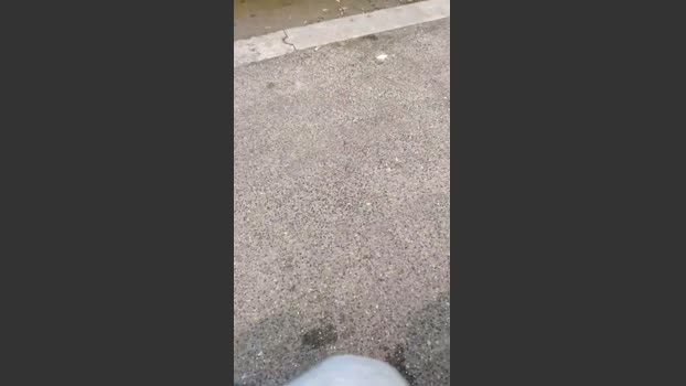 Mirko843 11-03-2026 Recorded Video Show