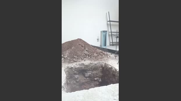 Pngrande20cm 11-03-2026 Recorded Video analtoy