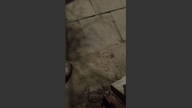 RealPublicManPl 12-03-2026 Recorded Video bigdick