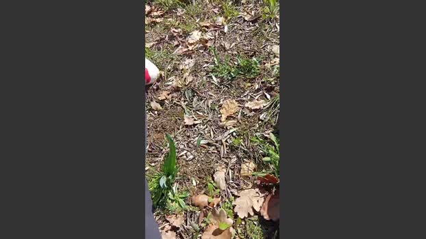 Sperma9222 13-03-2026 Recorded Video gay