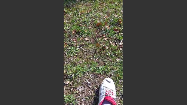Sperma9222 13-03-2026 Recorded Video playtime