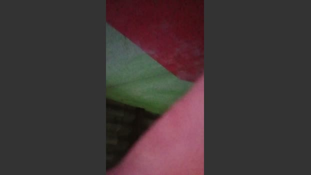chiranjitho1 14-03-2026 Recorded Video Topless