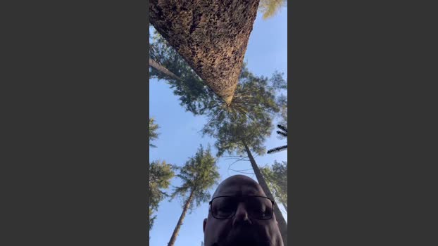 Hukjisda3 15-03-2026 Recorded Video Show