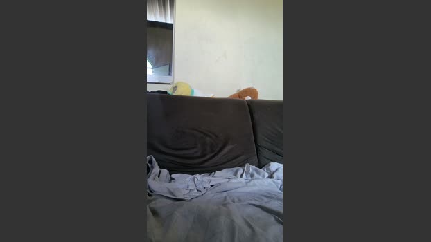 Josa040319 14-03-2026 Recorded Video toy