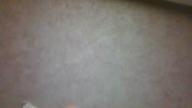 Pig80en 15-03-2026 Recorded Video Cam