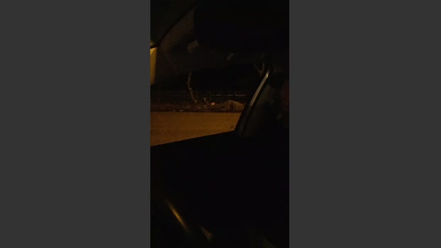 axelblows 15-03-2026 Recorded Video fuckface