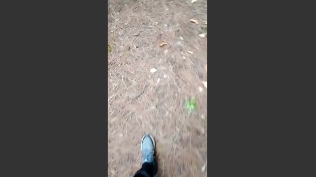 minex2 14-03-2026 Recorded Video kinky