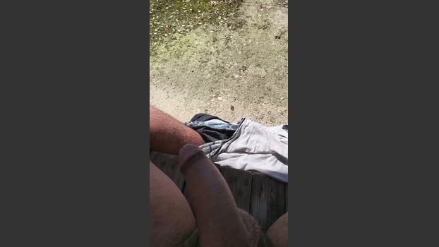 Gallumbero2 16-03-2026 Recorded Video beautiful