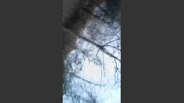 Mirk74 15-03-2026 Recorded Video gag