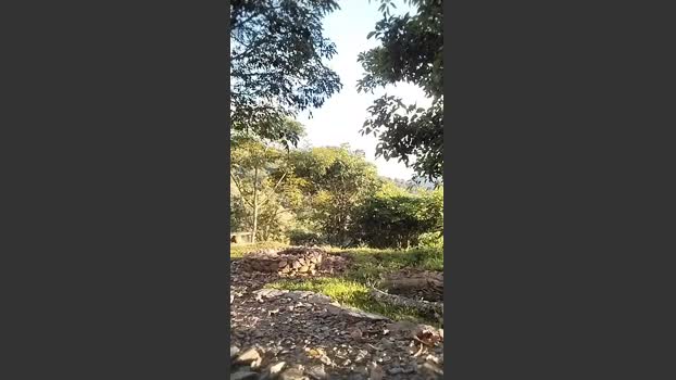 Remote_live 15-03-2026 Recorded Video bicurious