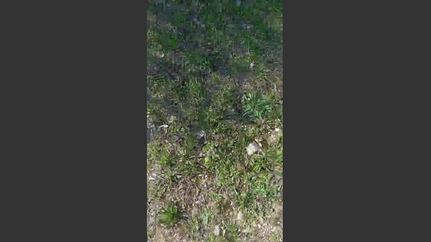 Sperma9222 16-03-2026 Recorded Video beauty