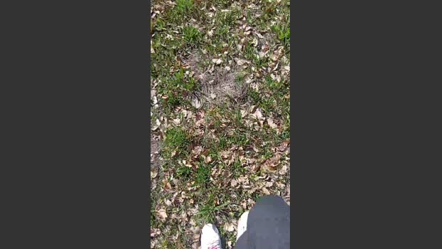 Sperma9222 16-03-2026 Recorded Video Download