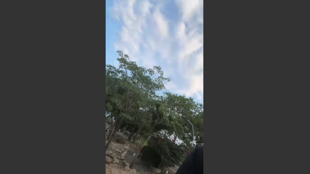 Outdoorsd 16-03-2026 Recorded Video juicy