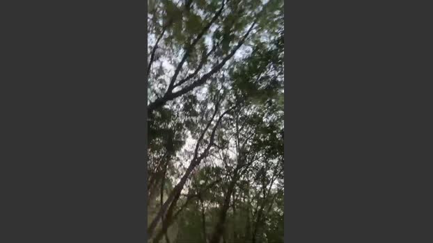 Outdoorsd 16-03-2026 Recorded Video oral