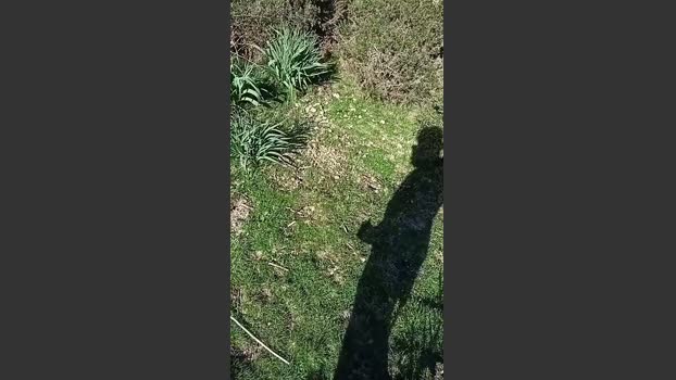 gutig_14 17-03-2026 Recorded Video beautiful