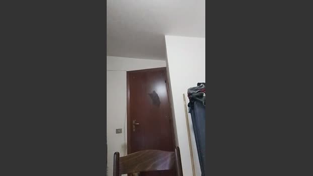 casertaxxx 18-03-2026 Recorded Video bigdick