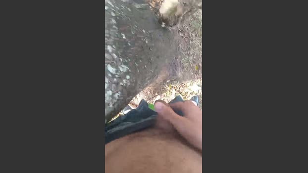 hardsexlove08 17-03-2026 Recorded Video fuckass