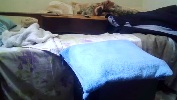 raul4396624 18-03-2026 Recorded Video ass