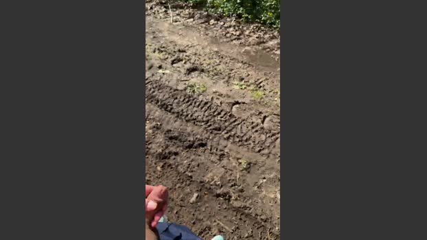 Carnoa18 19-03-2026 Recorded Video analtoy