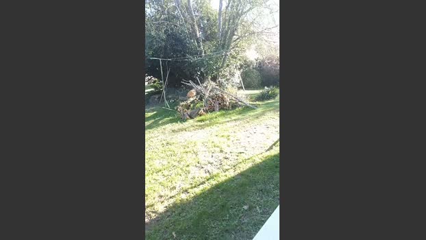 Suisavous 19-03-2026 Recorded Video bigload