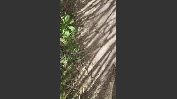 Jop666 20-03-2026 Recorded Video Porn