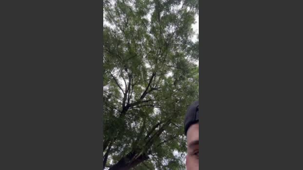 Outdoorsd 19-03-2026 Recorded Video hardcock