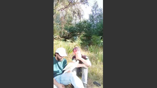 _noahdiaz 19-03-2026 Recorded Video squirt