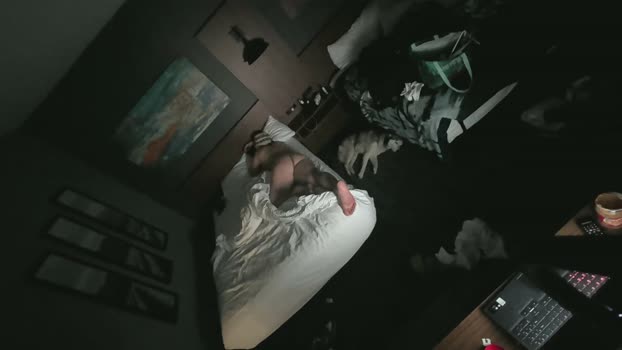 Beardedveteran 20-03-2026 Recorded Video fingering