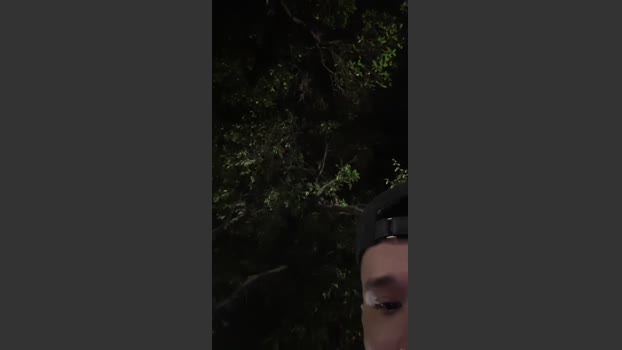 Outdoorsd 21-03-2026 Recorded Video blowjob