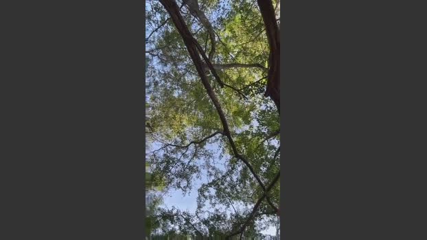 Outdoorsd 21-03-2026 Recorded Video analsex