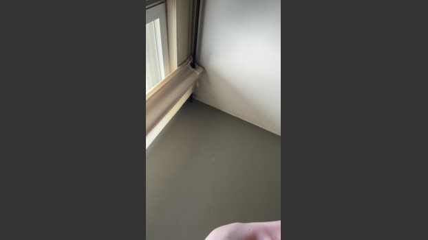 Pollon29_cm 23-03-2026 Recorded Video twink