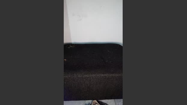 PretoXXXBlack 22-03-2026 Recorded Video bigballs