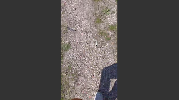 Sperma9222 23-03-2026 Recorded Video fuck
