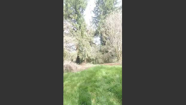 Suisavous 23-03-2026 Recorded Video lush