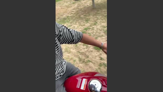 Tomadria 22-03-2026 Recorded Video toy