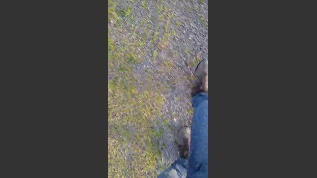 Gym2 24-03-2026 Recorded Video bigtoys