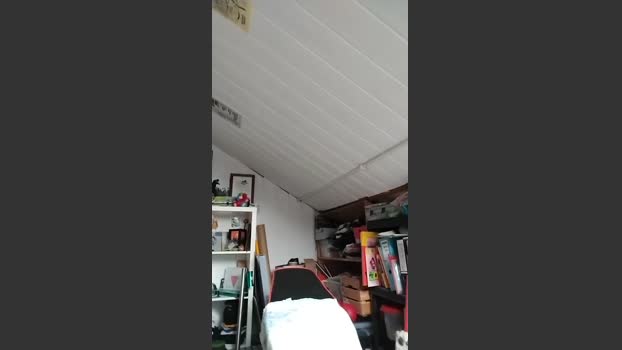 HotFabian93 25-03-2026 Recorded Video beauty