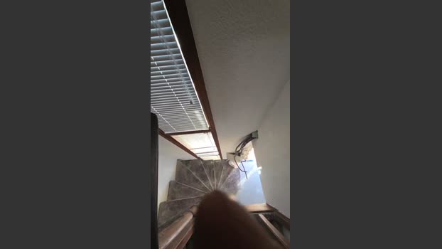 fonzieperver 25-03-2026 Recorded Video striptease