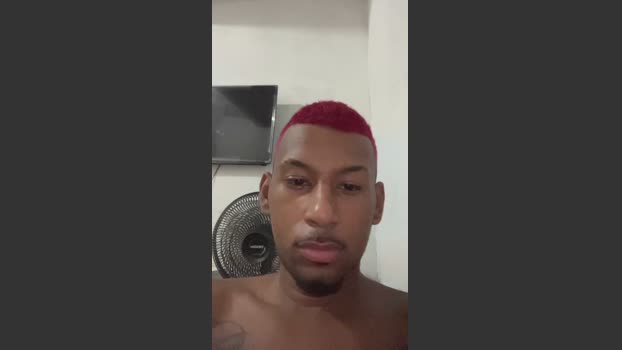 macacoeTa 25-03-2026 Recorded Video big