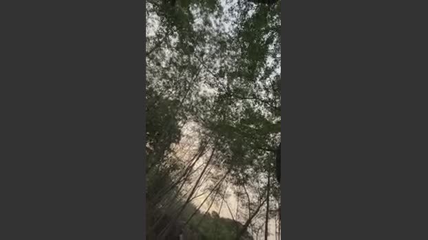 Outdoorsd 25-03-2026 Recorded Video analsex