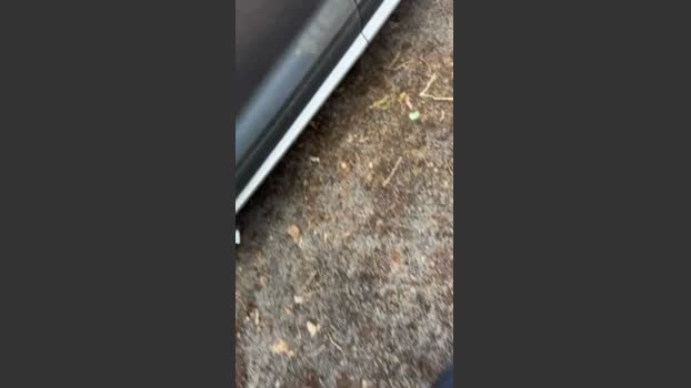 aragon5752 27-03-2026 Recorded Video natural