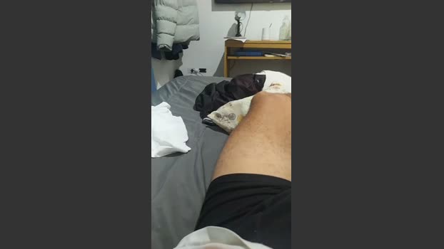 Sinfulboyy 28-03-2026 Recorded Video analtoy
