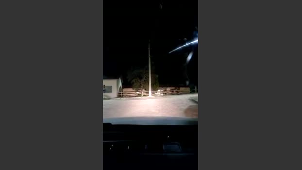 muzarafa 28-03-2026 Recorded Video oral