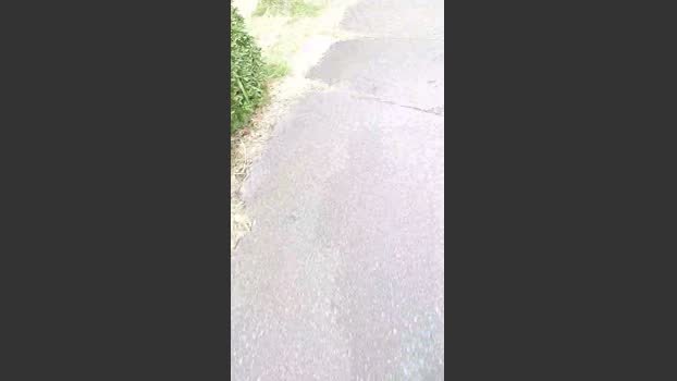 zachs4545 28-03-2026 Recorded Video gay