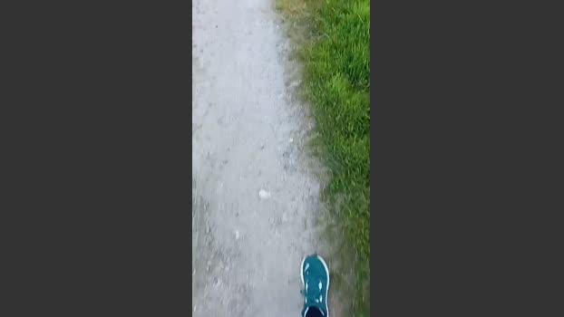 Dotadomasmad 29-03-2026 Recorded Video natural