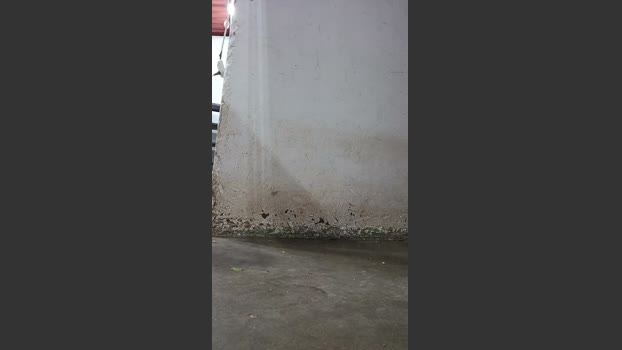 MONSTER777DADDY 29-03-2026 Recorded Video kissing