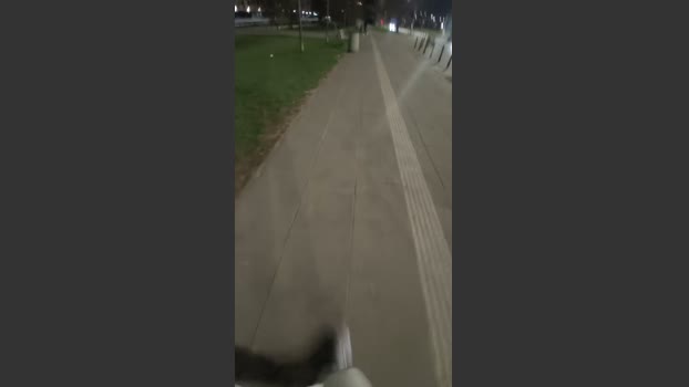 RealPublicManPl 29-03-2026 Recorded Video moan