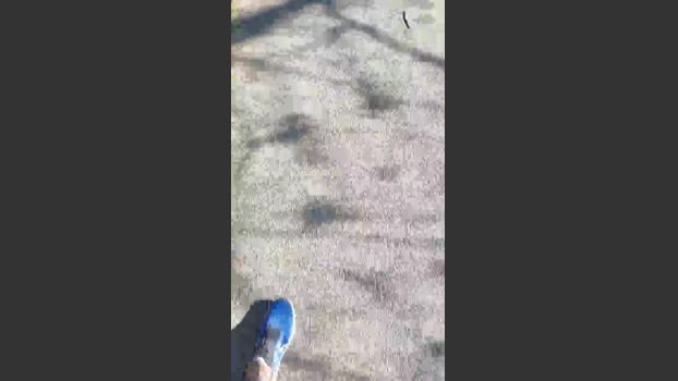 big_blackc 29-03-2026 Recorded Video big
